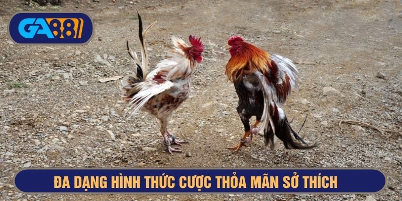 Các loại hình thi đấu đa dạng thỏa mãn đam mê